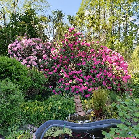 Ferienwohnung Gartenblick Westerstede Extérieur photo
