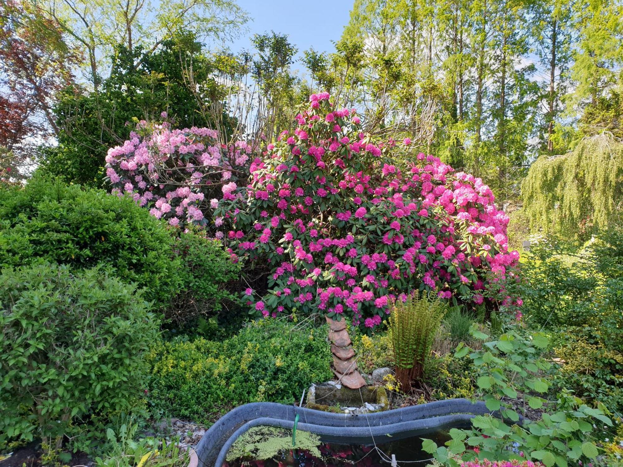 Ferienwohnung Gartenblick Westerstede Extérieur photo