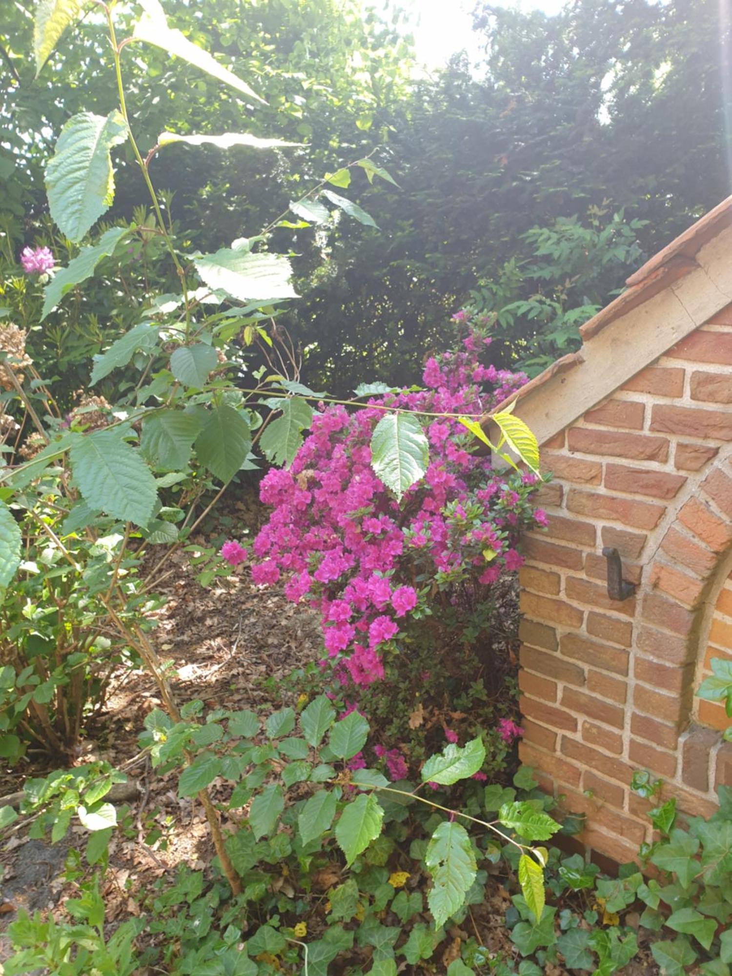 Ferienwohnung Gartenblick Westerstede Extérieur photo